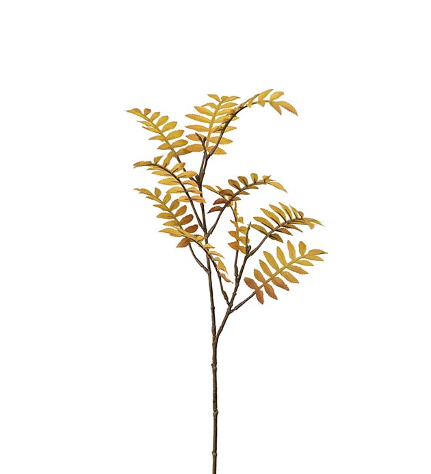 Rogn gul 60 cm
