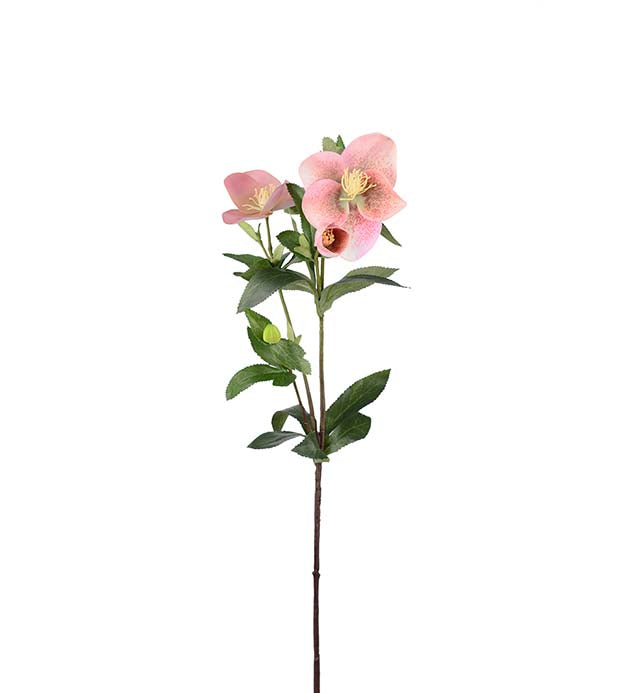 Julerose rosa 63 cm