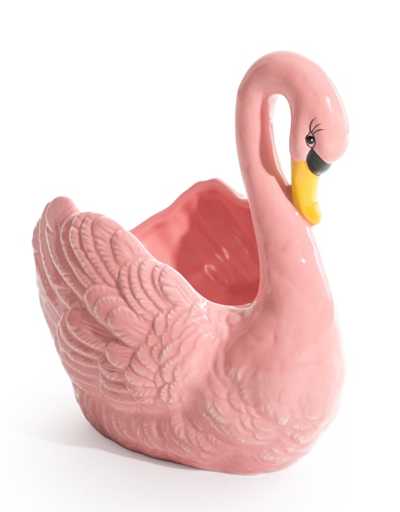 Rosa svane potte