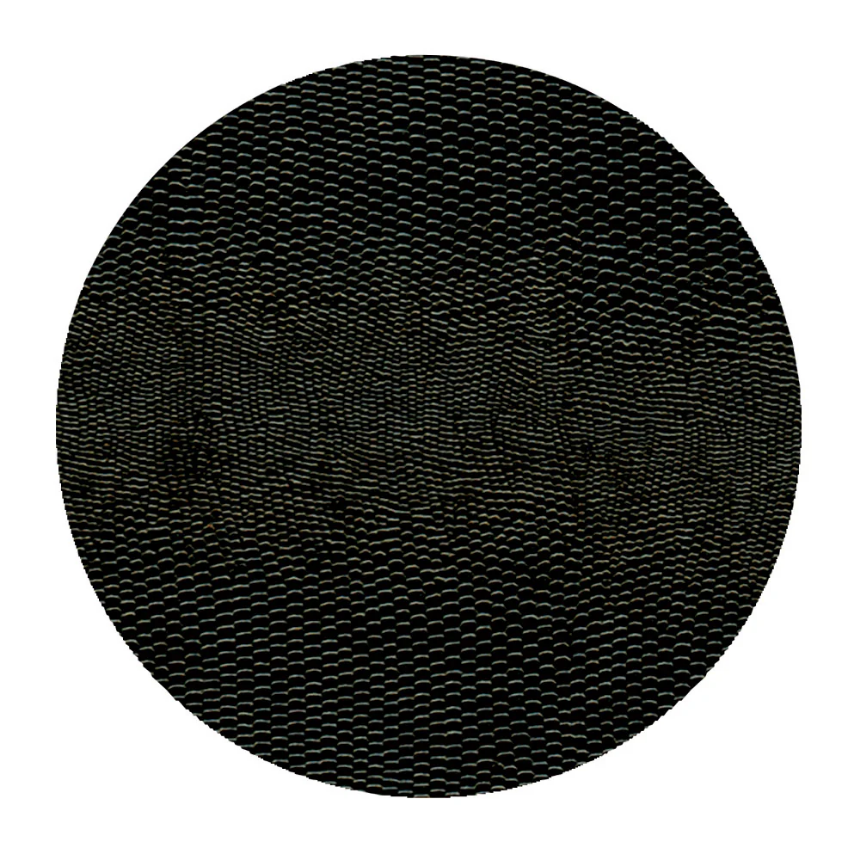Coaster lizard Black