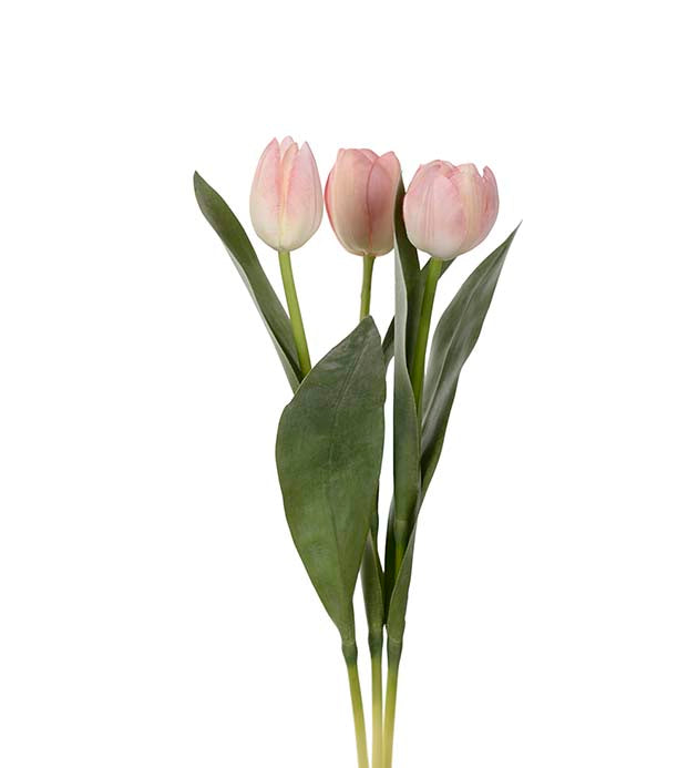 Tulipan rosa 36 cm