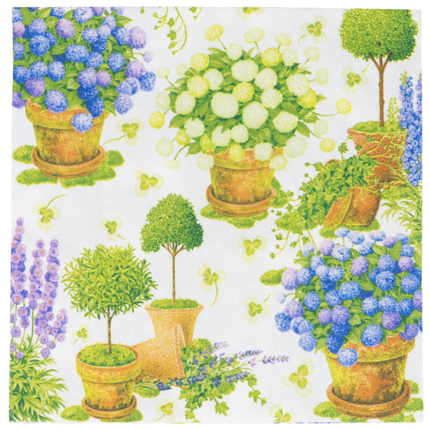 Serviett lunch Potted hydrangeas