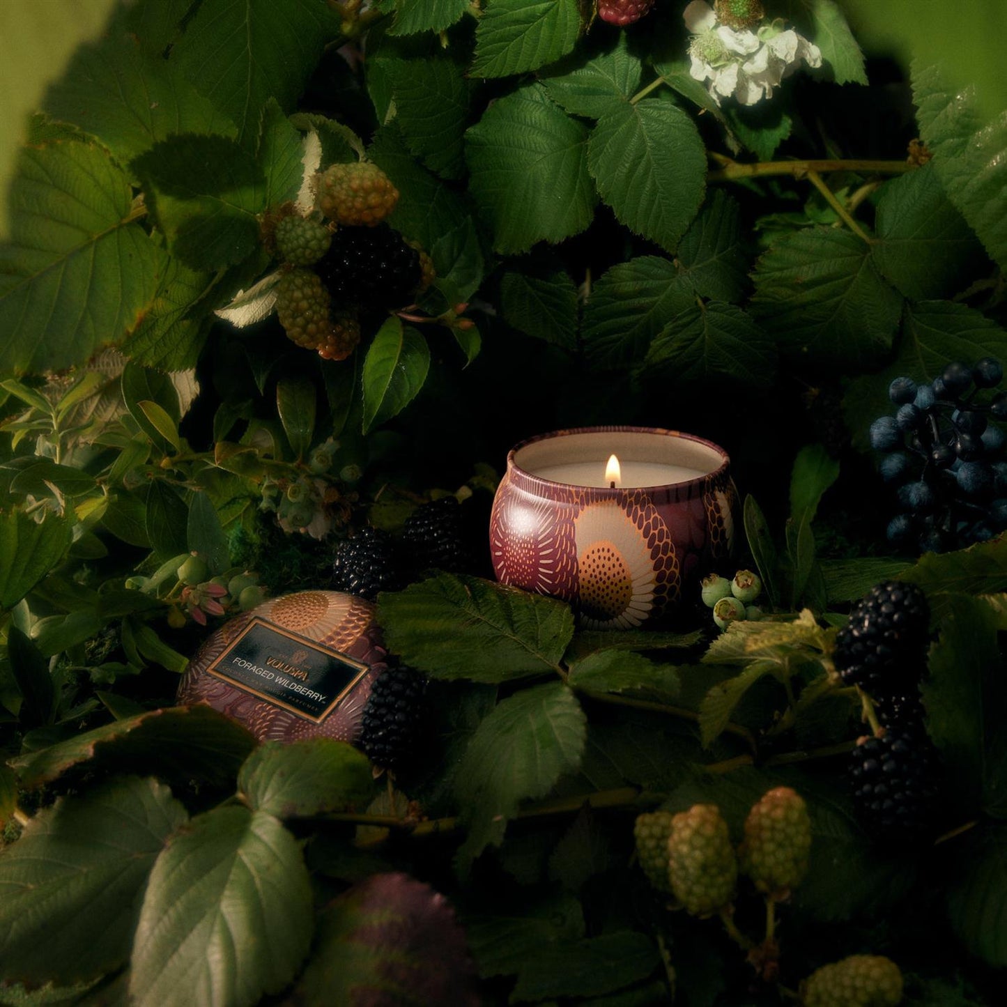 Foraged Wildberry Mini Tin Candle 25 Timer