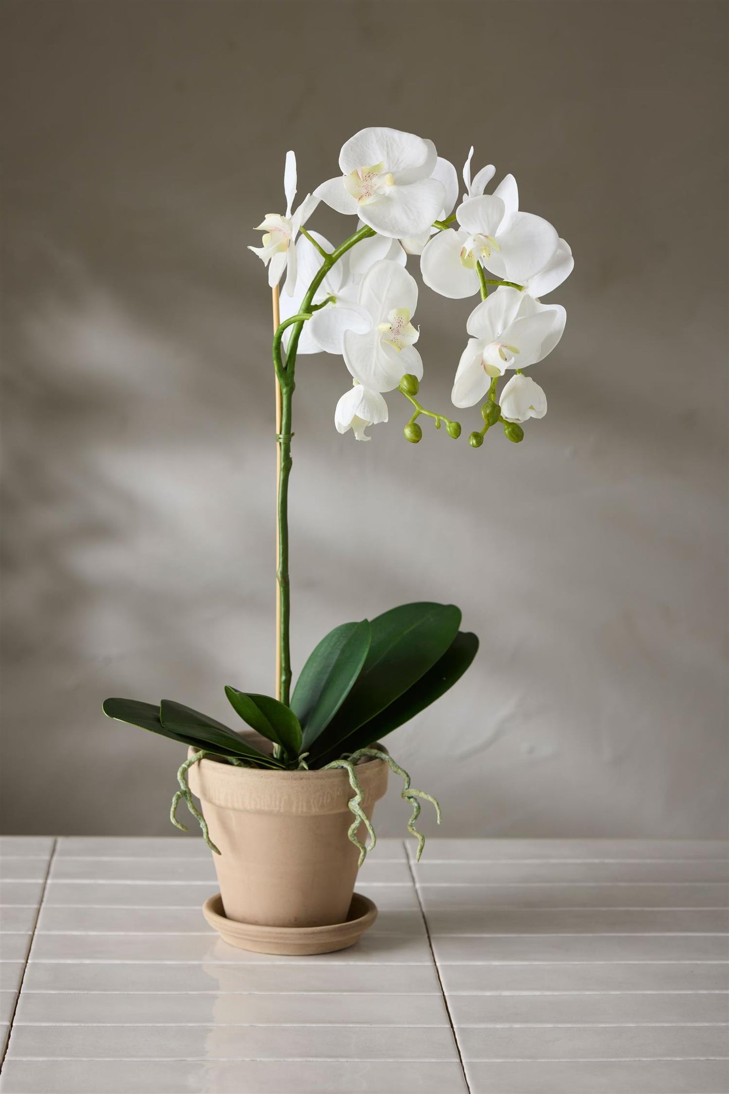 Orkidé hvit 60 cm