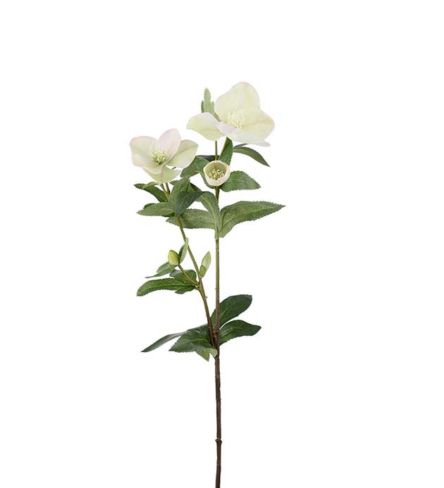 Julerose lys grønn 63 cm