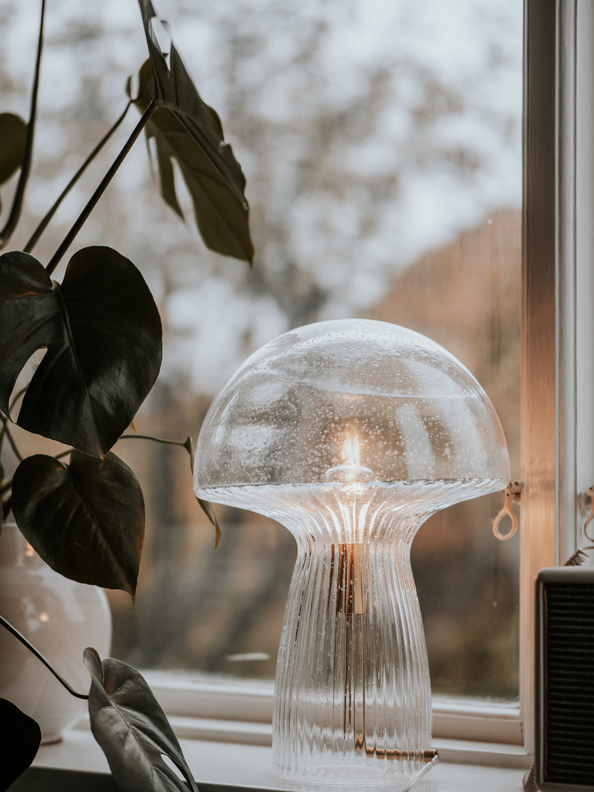 Bordlampe Fungo 30 klar Special Edition