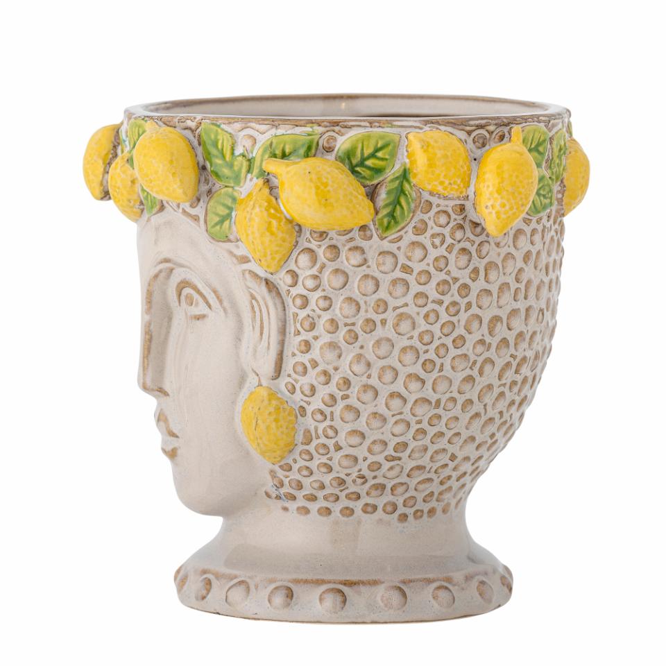 Limone potte