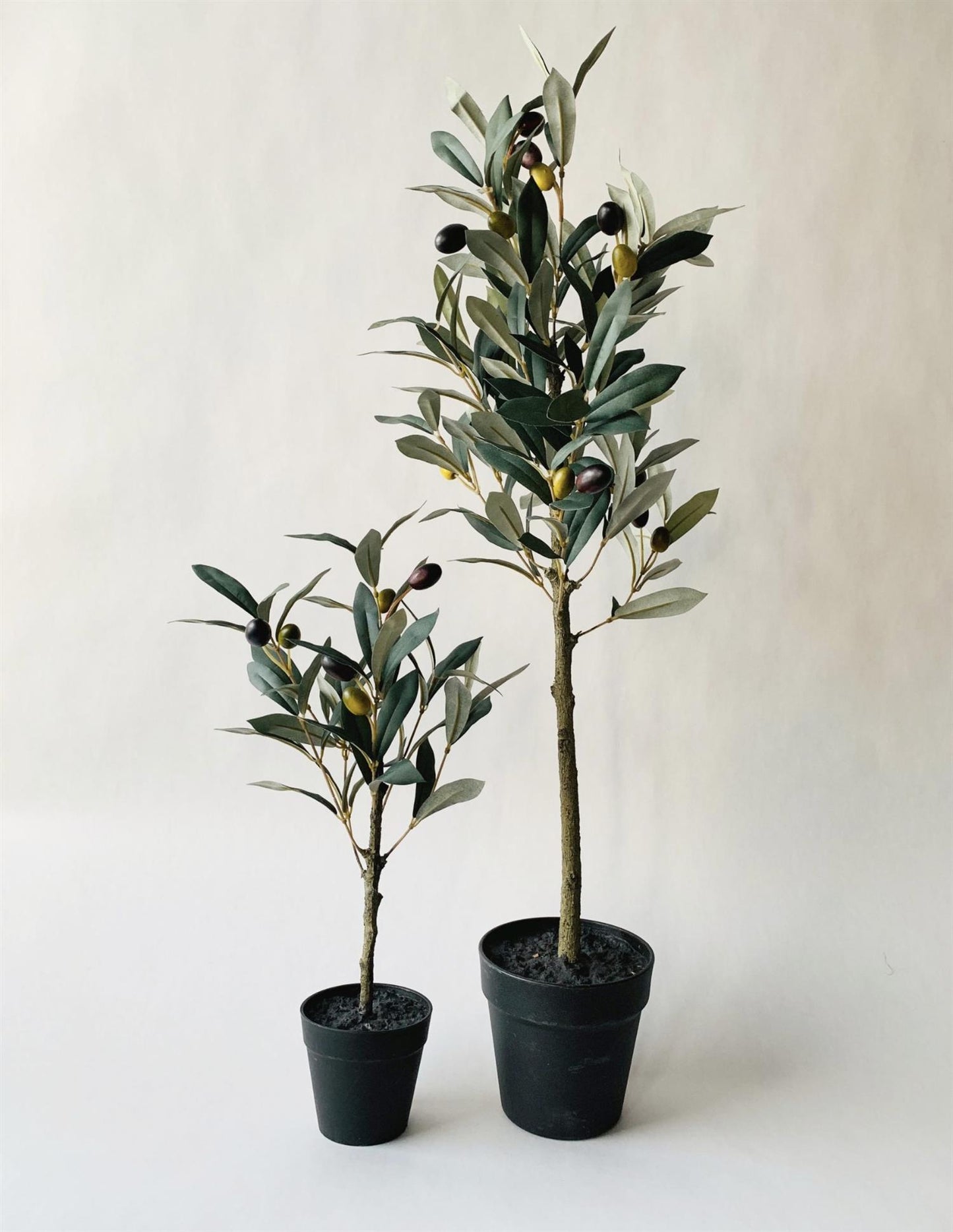 Oliventre oppstrammet 41 cm