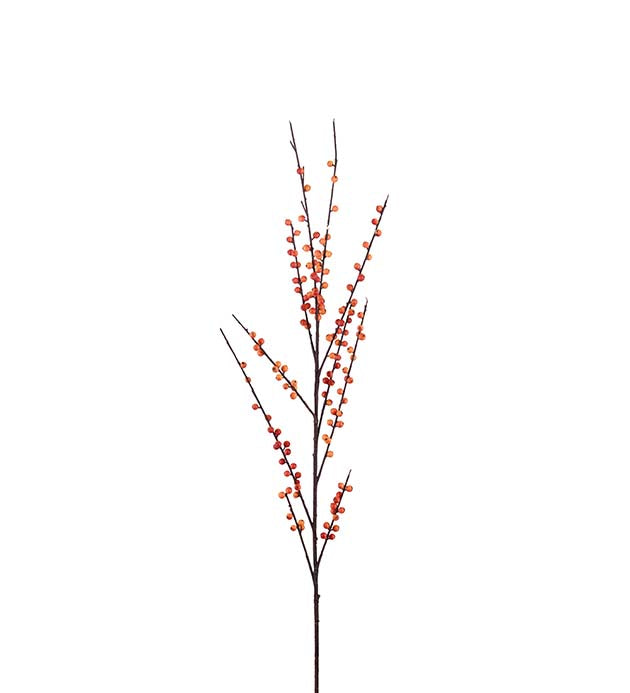 Bærkvist orange 115 cm