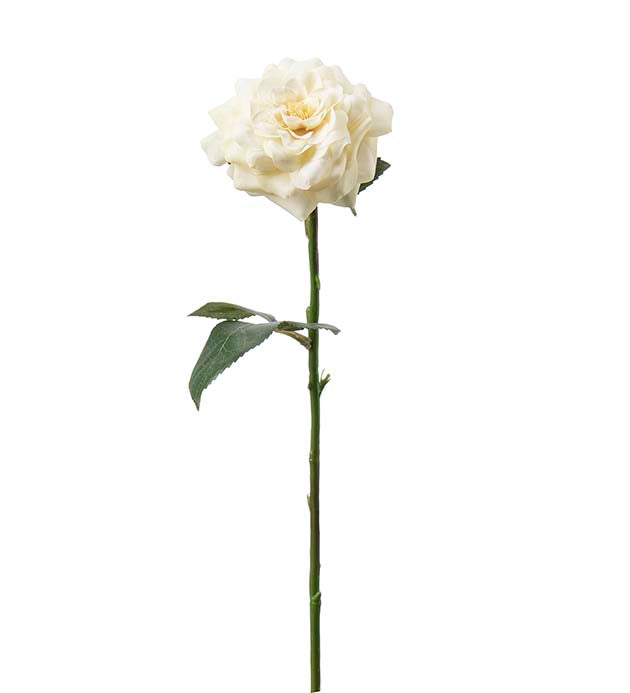 Rose gul 41 cm