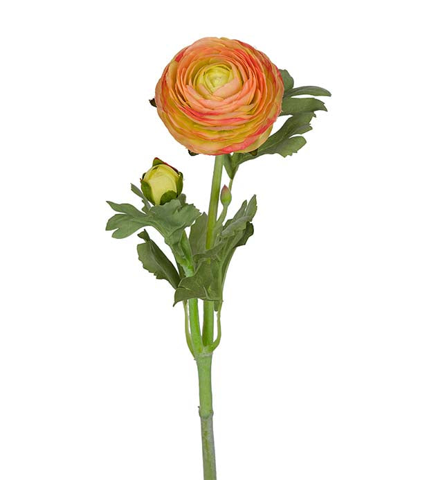 Ranunkel orange 50 cm
