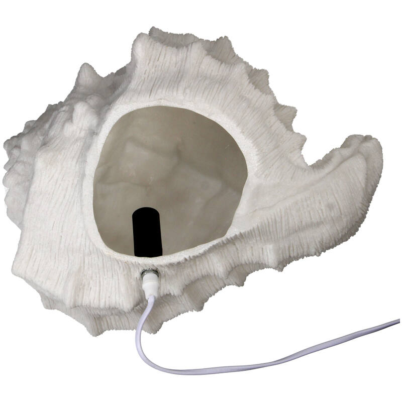Bordlampe skjell
