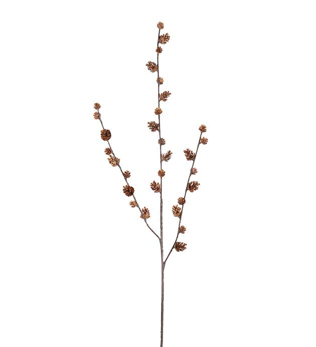 Kvist med kongler 85 cm