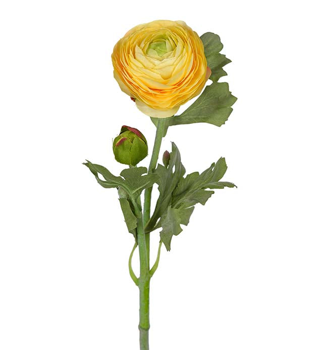 Ranunkel gul 50 cm