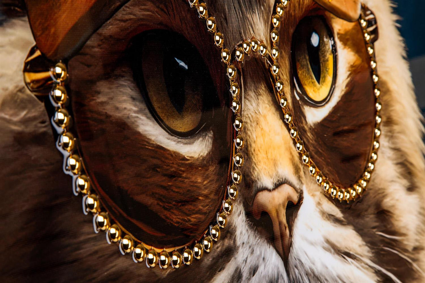 Lerretsbilde katt sheriff 62x92 cm