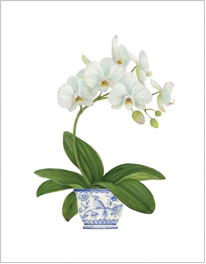 Kort m/konvolutt White Orchid 4 stk
