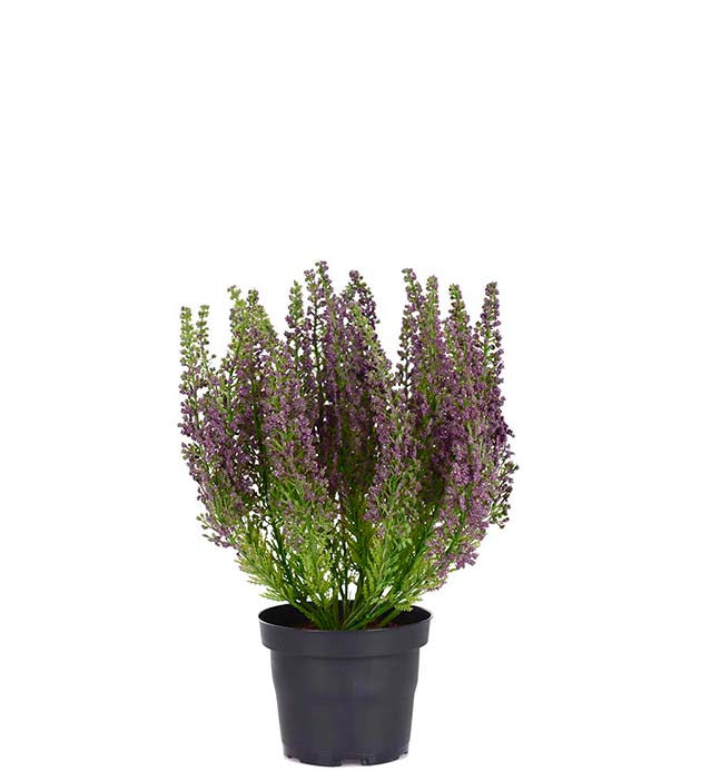 Lyng 28 cm