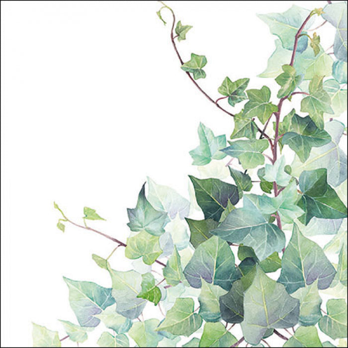 Serviett lunch Hedera white