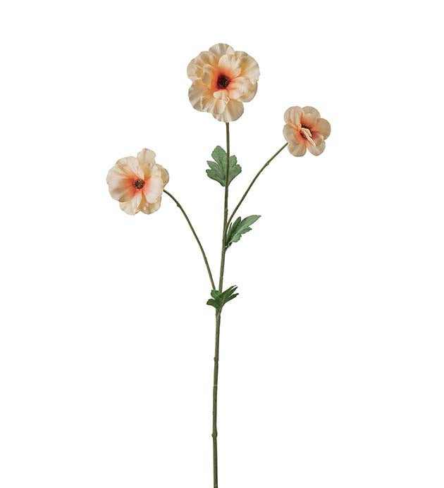 Japansk ranunkel fersken 62 cm