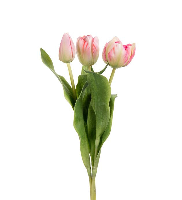 Tulipan rosa 36 cm