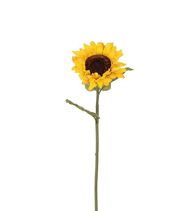 Solsikke 60 cm