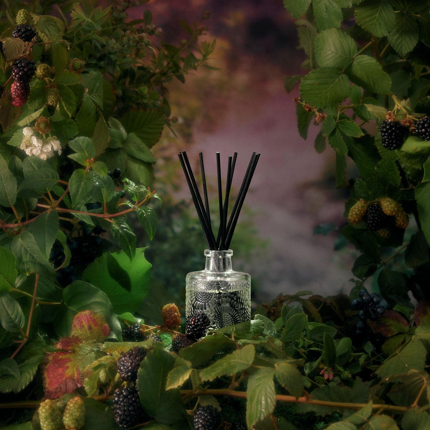 Foraged Wildberry Reed Diffuser 100 ml