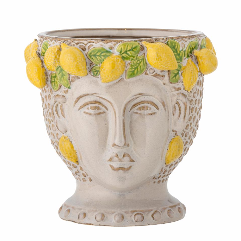 Limone potte
