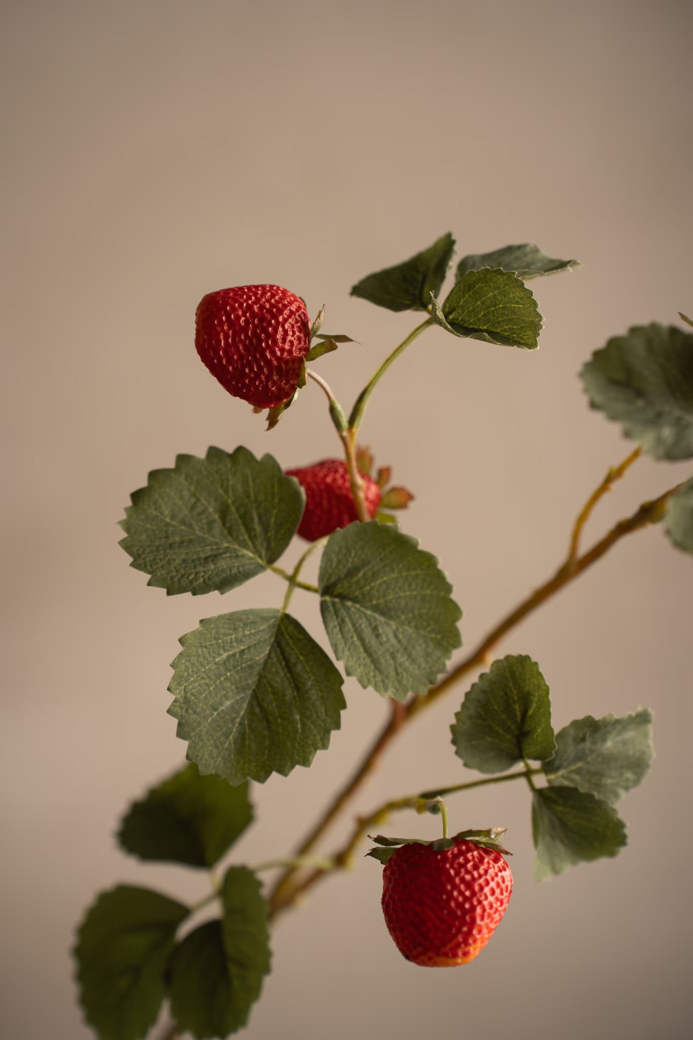 Jordbærkvist 70 cm
