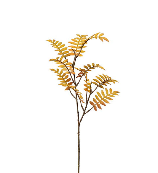 Rogn gul 60 cm