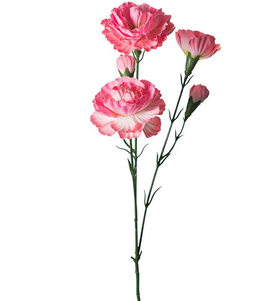 Elegance nellik rosa 65 cm