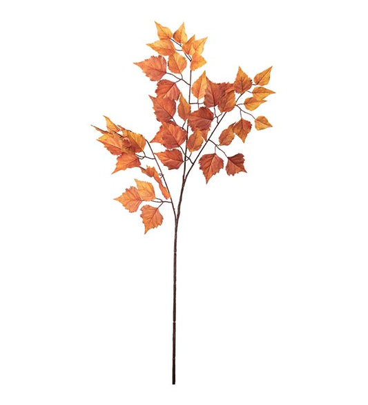 Bjørk orange 80 cm
