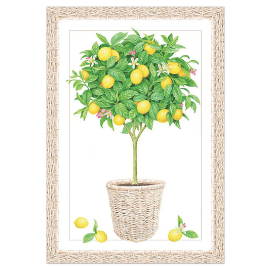Kort m/konvolutt Lemon Topiary