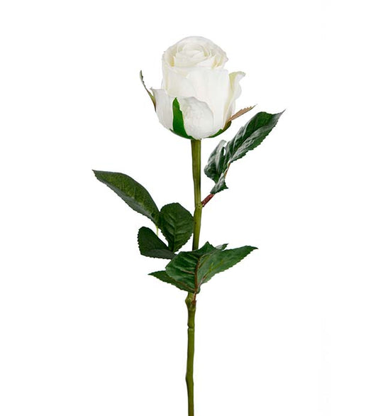 Rose hvit 50 cm