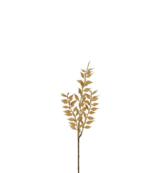 Ruscus 35 cm