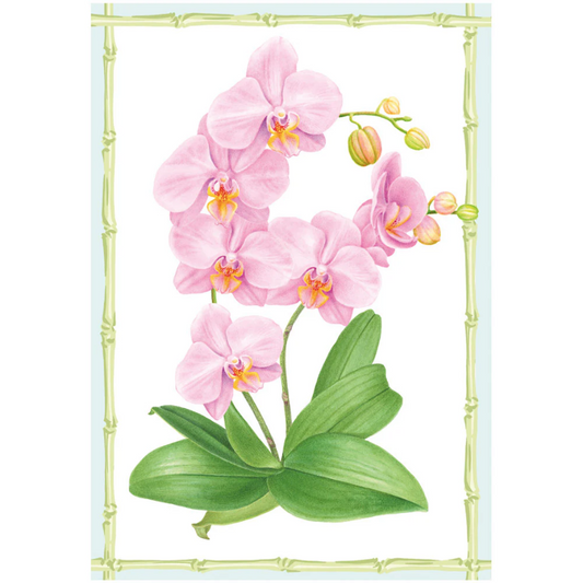Kort m/konvolutt Pink Orchid