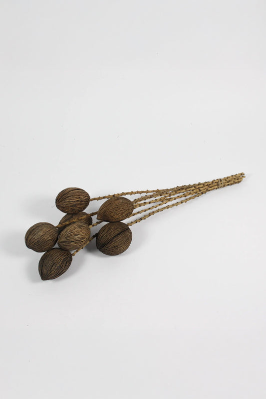 Mintola Ball twig stem 7 stk