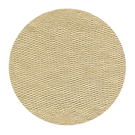 Coaster platinum lizard