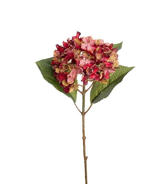 Hortensia rød/rosa 40 cm