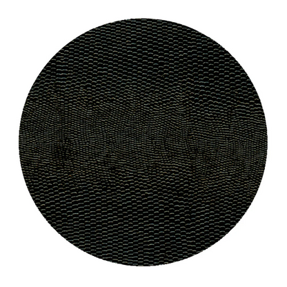 Coaster lizard Black