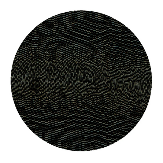 Coaster lizard Black