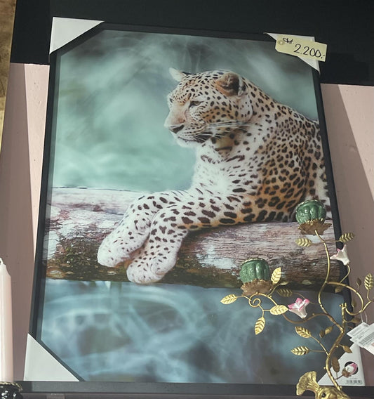 Bilde Leopard 60x90 cm