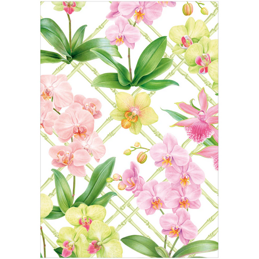 Kort m/konvolutt Orchid conservatory
