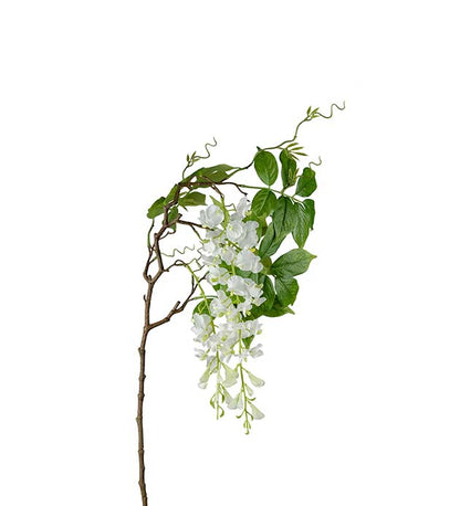 Wisteria hvit 100 cm