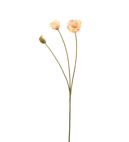 Valmue fersken 75 cm