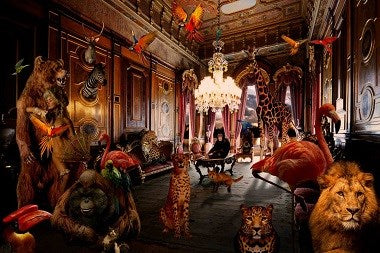 Animal kingdom 150x100 cm