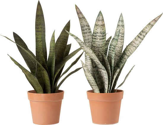 Grønn plante 72 cm