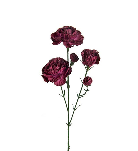 Elegance nellik burgunder 65 cm