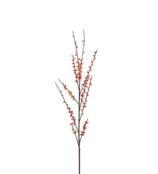 Bærkvist orange 115 cm