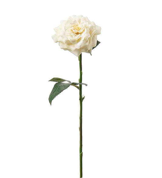 Rose gul 41 cm