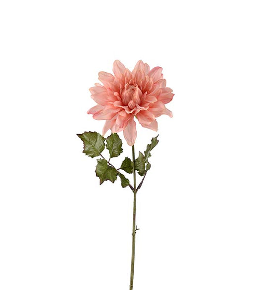 Dahlia fersken rosa 45 cm